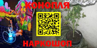 a pvp Будённовск