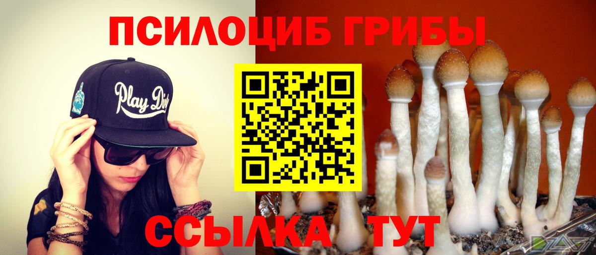 Псилоцибиновые грибы мухоморы Дятьково