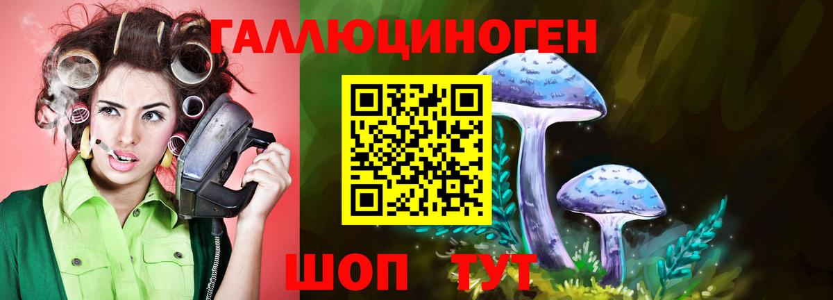 Псилоцибиновые грибы MAGIC MUSHROOMS  Галлюциногенные грибы ЛСД  Дятьково  Вход с VPN 